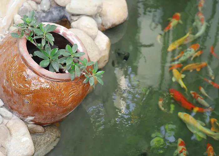 Jungle - Phu Hop Gia Dinh Tu 10 - 20 Nguoi Lon & Tre Em - San Bbq Dau Duoc Xe O To 16 Cho- Ho Boi Rieng- 5 Phut Di Bo Den Bien - 5 Phut Den Cho San Phu Thuy- Ho Ca Koi Фантхьет