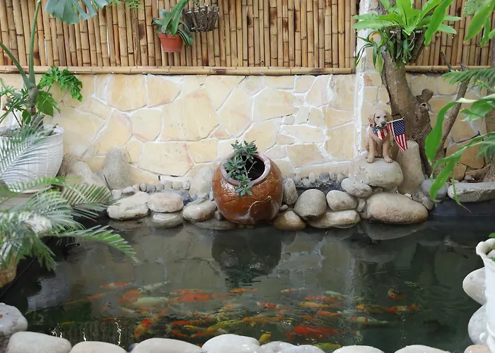 Jungle - Phu Hop Gia Dinh Tu 10 - 20 Nguoi Lon & Tre Em - San Bbq Dau Duoc Xe O To 16 Cho- Ho Boi Rieng- 5 Phut Di Bo Den Bien - 5 Phut Den Cho San Phu Thuy- Ho Ca Koi Дом отдыха Фантхьет